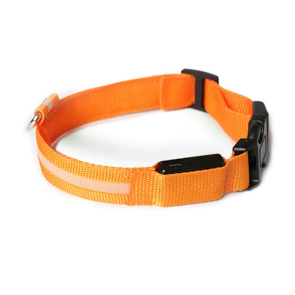 Led Usb Dog Collar Pet Dog Night Luminous Charge Collar Led Night Safety Flashing Glow Dog Loss Prevention Collar Pet Accessorie