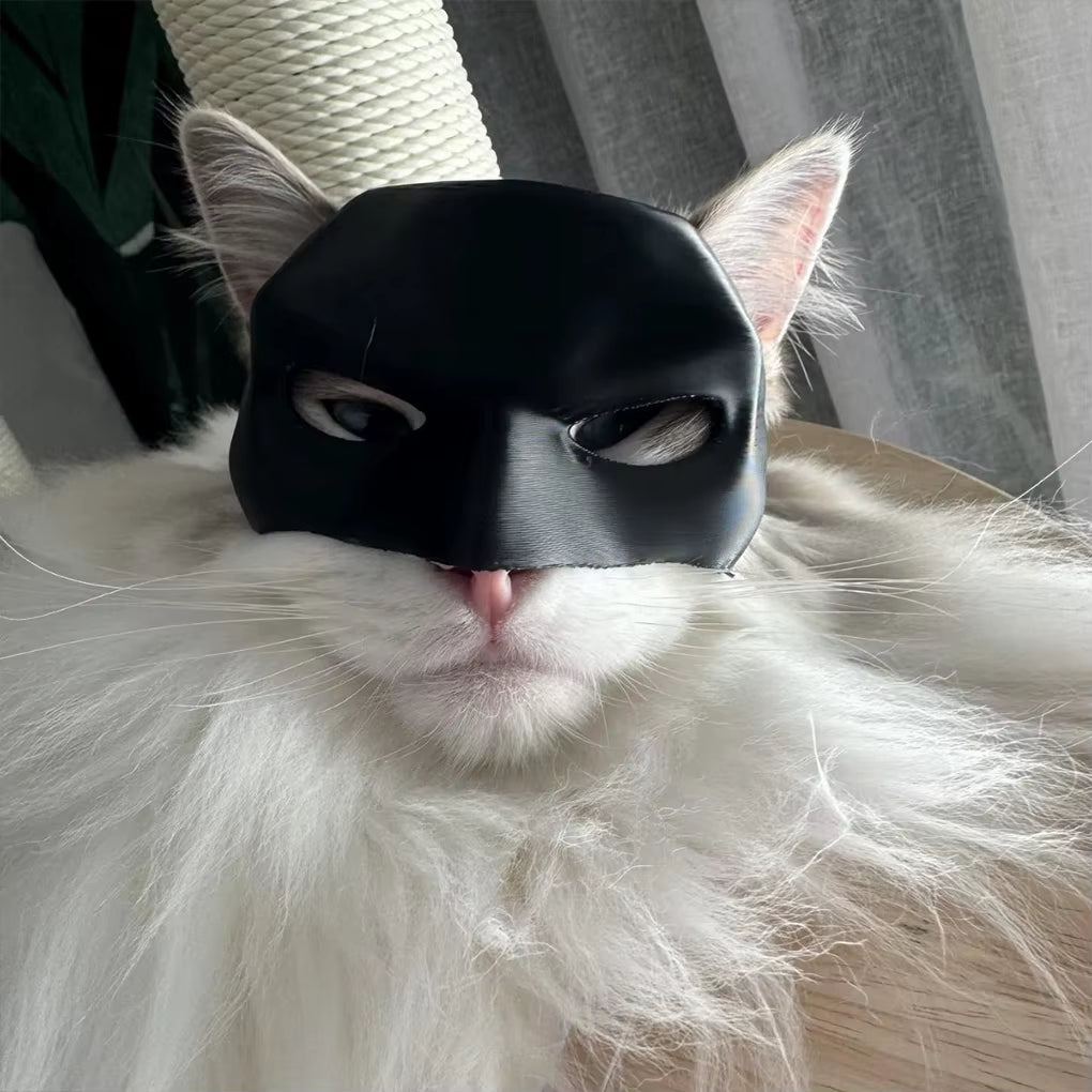 Bat Cat Avenger Mask Cat Bat Cool Man Mask Cat Unleash Cat S Inner Superhero Cat Bat Halloween Costume Cat for Avenger