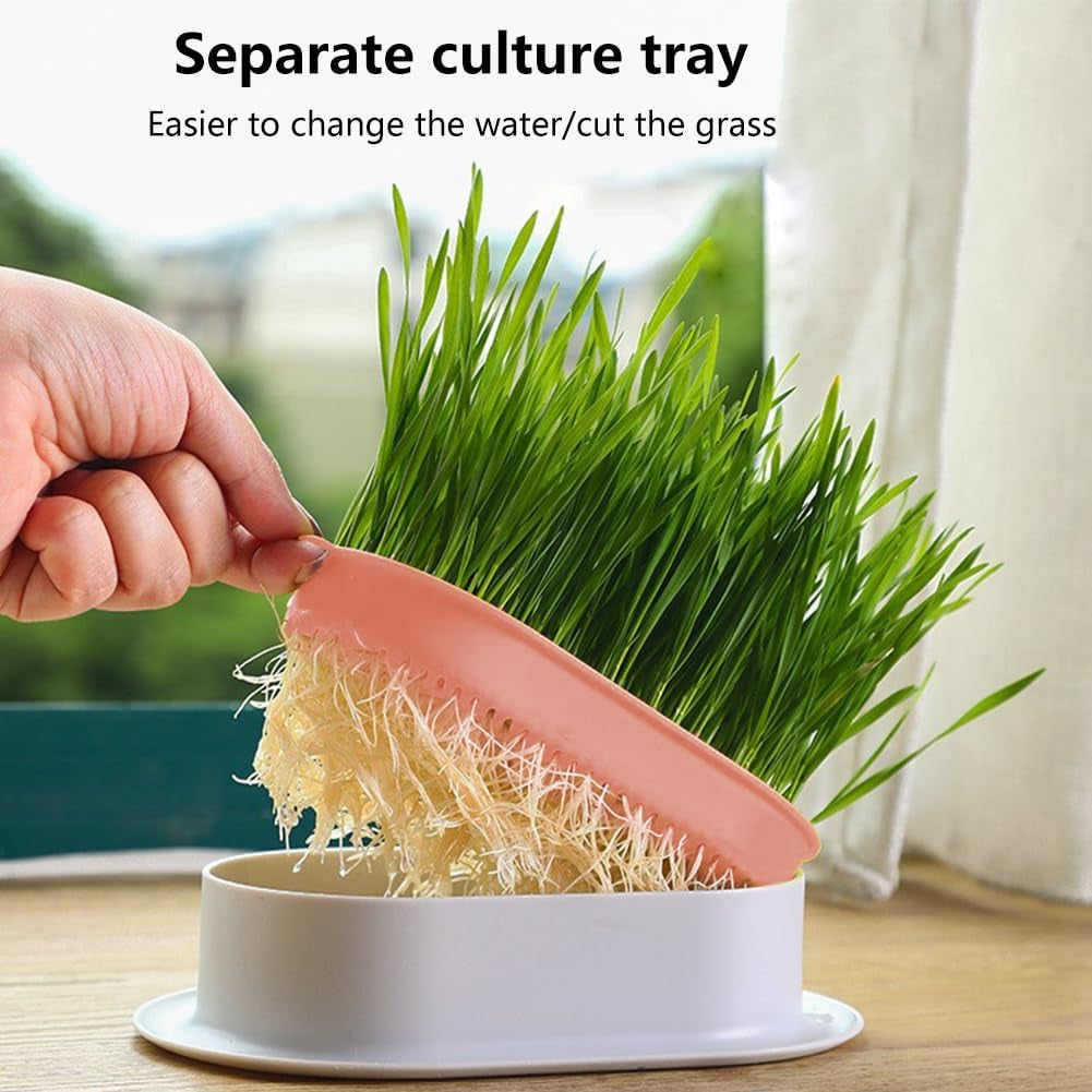 Household Cat Grass Planter, Plastic Catnip Cat Grass Box Soil Cat Plant Planting Box Nursery Cat Plant for Pet(Size:3Pcs)