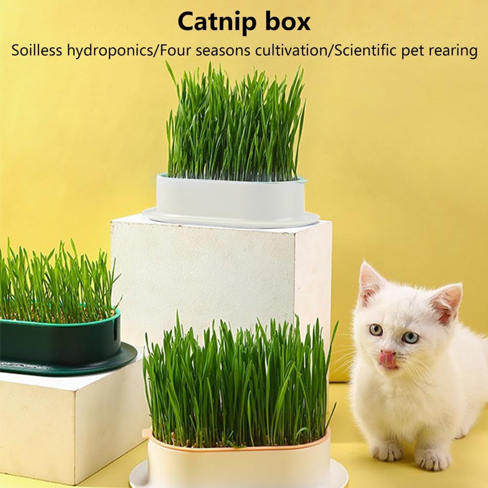 Household Cat Grass Planter, Plastic Catnip Cat Grass Box Soil Cat Plant Planting Box Nursery Cat Plant for Pet(Size:3Pcs)
