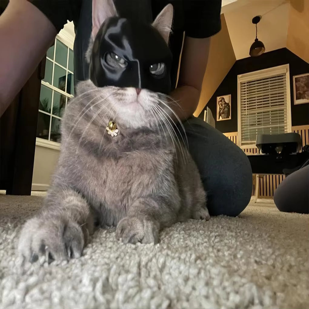 Bat Cat Avenger Mask Cat Bat Cool Man Mask Cat Unleash Cat S Inner Superhero Cat Bat Halloween Costume Cat for Avenger