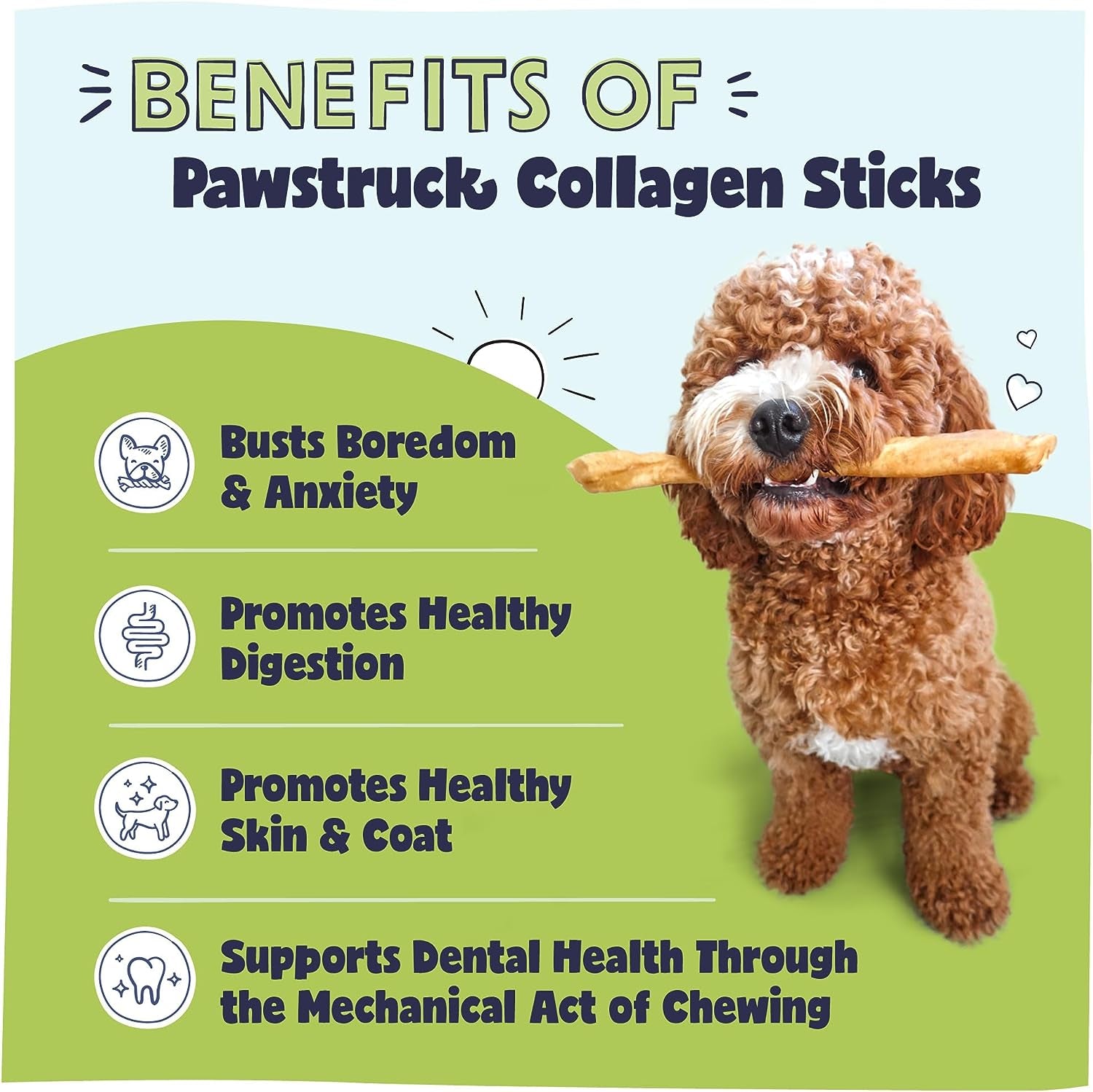 Natural Large 12" Beef Collagen Sticks for Dogs - Healthy Long Lasting Alternative to Traditional Rawhide - High Protein Treats W/Chondroitin & Glucosamine - 5 Count - Packaging May Vary