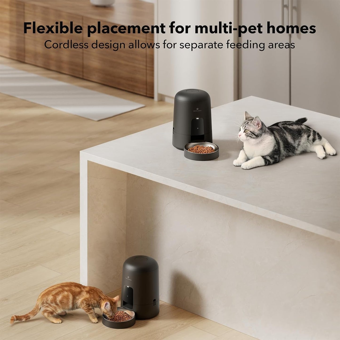 Automatic Cat Feeder, Wi-Fi Rechargeable Cat Food Dispenser Battery-Operated with 30-Day Life, AIR 2.4G Wi-Fi Timed Pet Feeder for Cat & Dog, 2L Auto Cat Feeder, Black