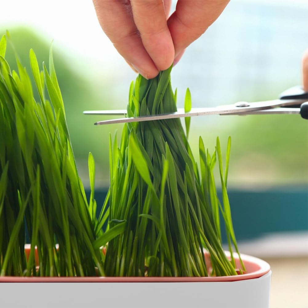 Household Cat Grass Planter, Plastic Catnip Cat Grass Box Soil Cat Plant Planting Box Nursery Cat Plant for Pet(Size:3Pcs)