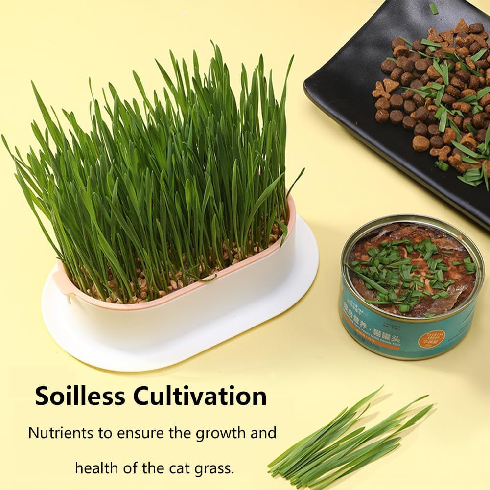Household Cat Grass Planter, Plastic Catnip Cat Grass Box Soil Cat Plant Planting Box Nursery Cat Plant for Pet(Size:3Pcs)