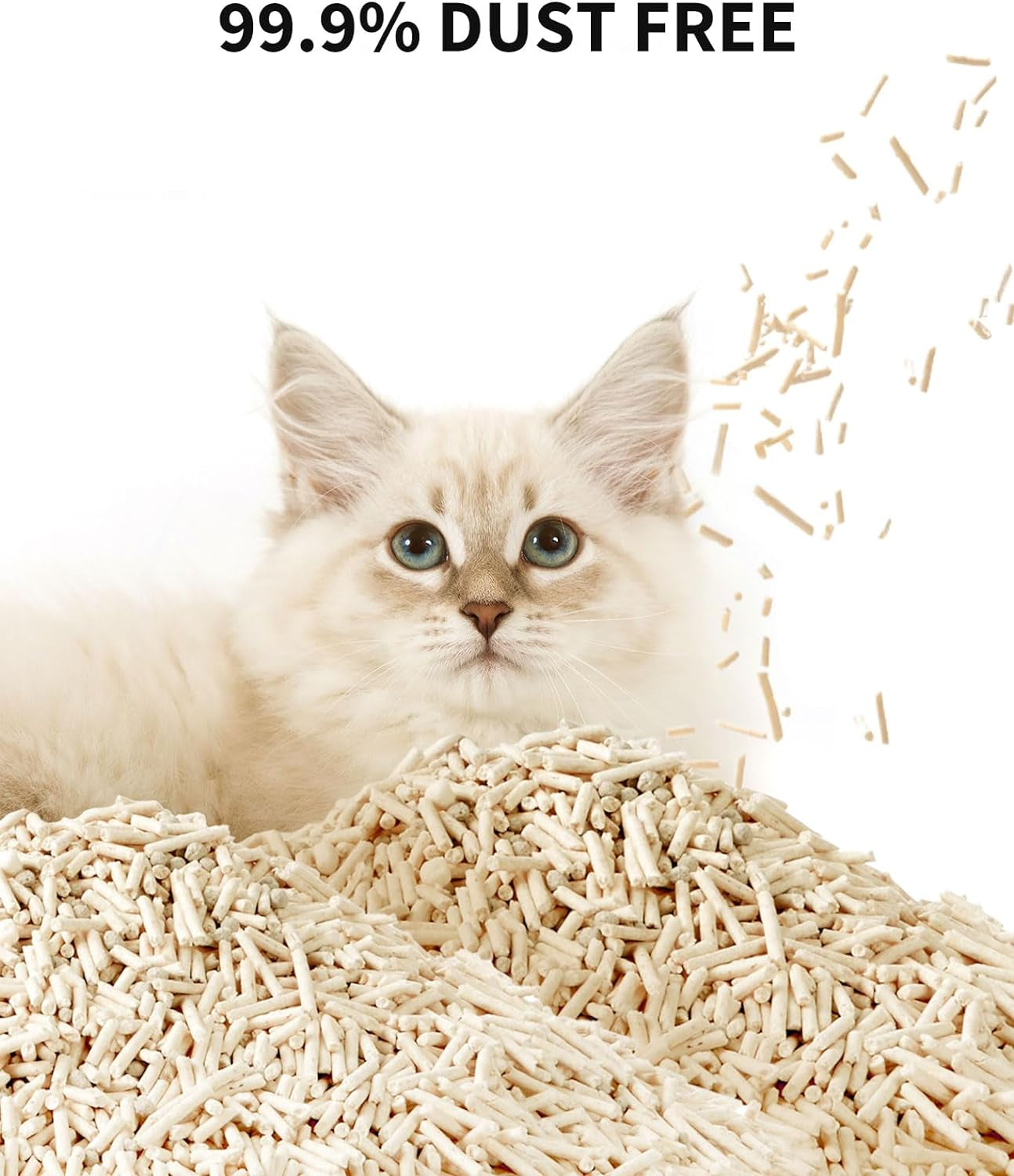 2024 New Occult Blood Monitoring Cat Litter, Mixed Tofu Bentonite Cat Litter, Ultra Absorbent Clumping Cat Litter, Odor Control and Dust Free